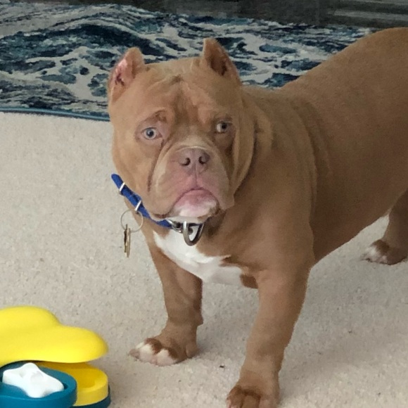 trini196